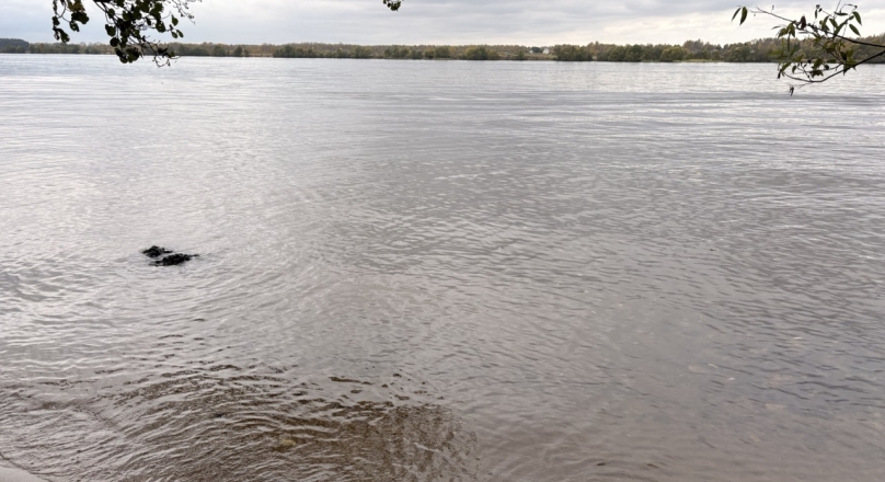 д. Кадниково, Кимрский муниципальный округ